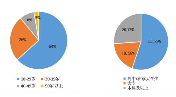 民间支教报告 - 中华支教与助学信息中心 - 10.png