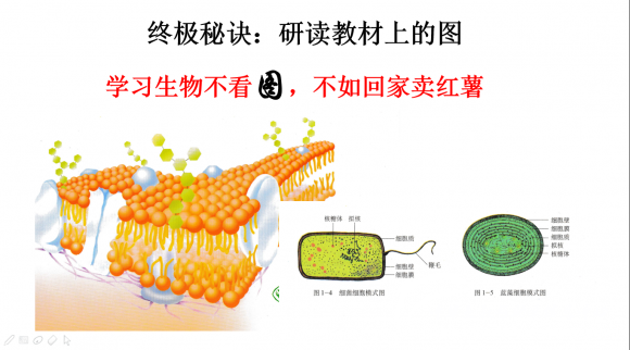 高中生物开学第一课 - 中华支教与助学信息中心 - 12.png