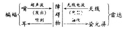 常见的板书种类（一） - 中华支教与助学信息中心 - 4.jpg