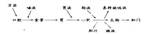 常见的板书种类（一） - 中华支教与助学信息中心 - 7.jpg